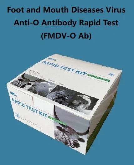 FMDV{0}}O antikūnų greitasis tyrimas